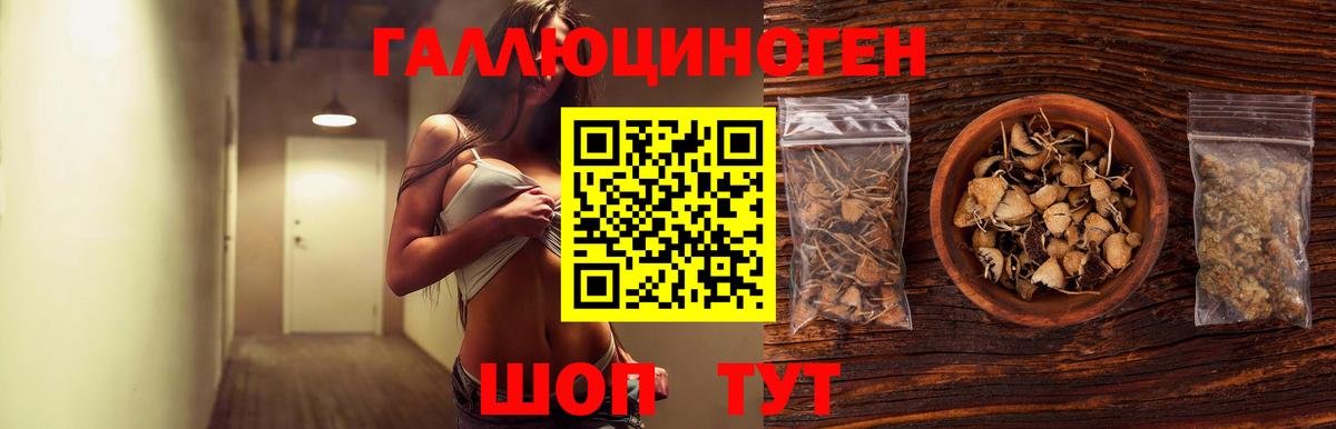 Красногорск  Псилоцибиновые грибы мицелий  купить  сайты  Вход с VPN  Псилоцибиновые грибы MAGIC MUSHROOMS 